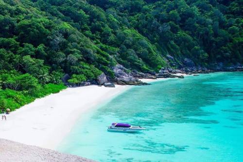 Similan Island by Speed Boat